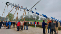 Maibaum aufstellen
